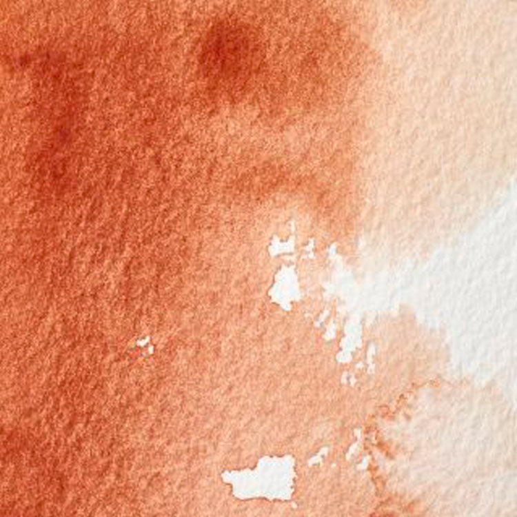 WINSOR & NEWTON Professional Watercolour - 14mL - 074 Burnt Sienna (PR101)