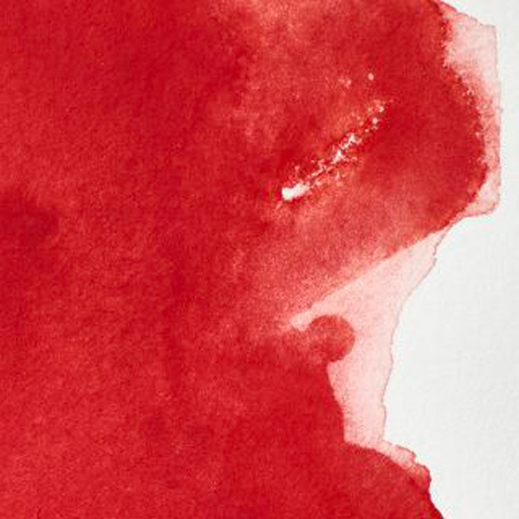 WINSOR & NEWTON Professional Watercolour - 14mL - 097 Cadmium Red Deep (PR108)