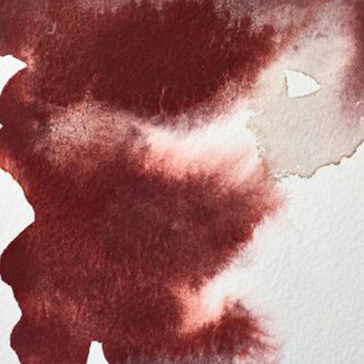 WINSOR & NEWTON Professional Watercolour - 14mL - 125 Caput Mortuum Violet (PR101)