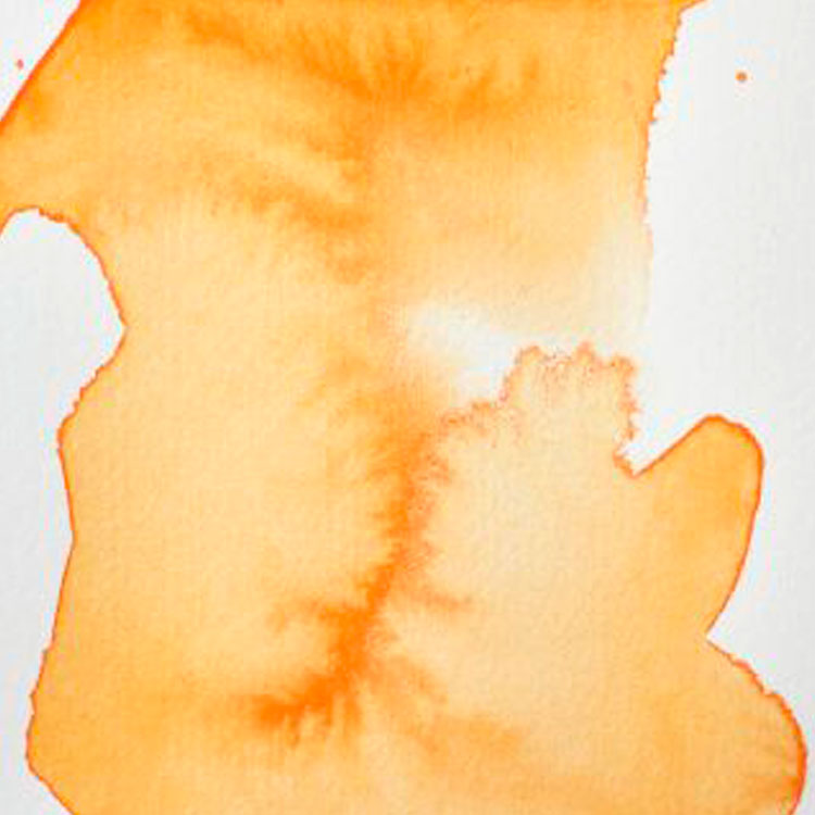 WINSOR & NEWTON Professional Watercolour - 14mL - 089 Cadmium Orange (PR109,PY35)