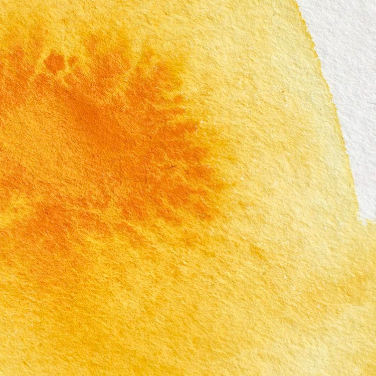 WINSOR & NEWTON Professional Watercolour - 14mL - 111 Cadmium Yellow Deep (PR108,PY35)