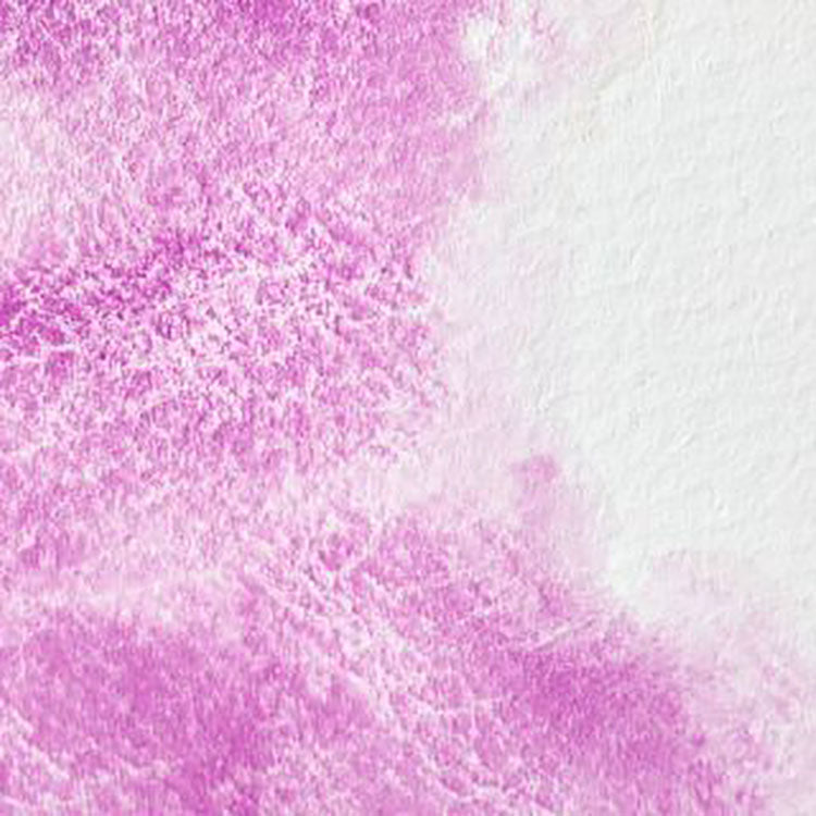 WINSOR & NEWTON Professional Watercolour - 14mL - 192 Cobalt Violet (PV14)