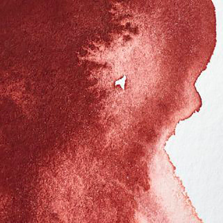 WINSOR & NEWTON Professional Watercolour - 14mL - 317 Indian Red (PR101)
