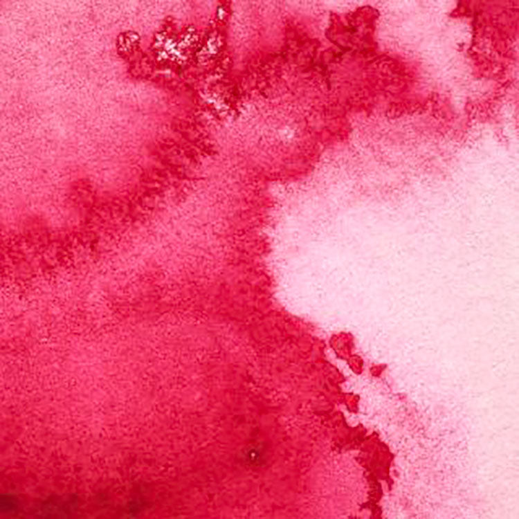 WINSOR & NEWTON Professional Watercolour - 14mL - 502 Permanent Rose (PV19)