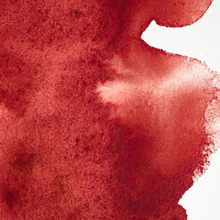 WINSOR & NEWTON Professional Watercolour - 14mL - 507 Perylene Maroon (PR179)