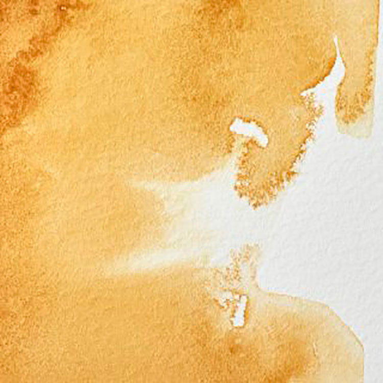 WINSOR & NEWTON Professional Watercolour - 14mL - 552 Raw Sienna (PR101)
