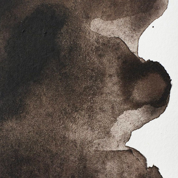 WINSOR & NEWTON Professional Watercolour - 14mL - 609 Sepia (PBk6,PR101)